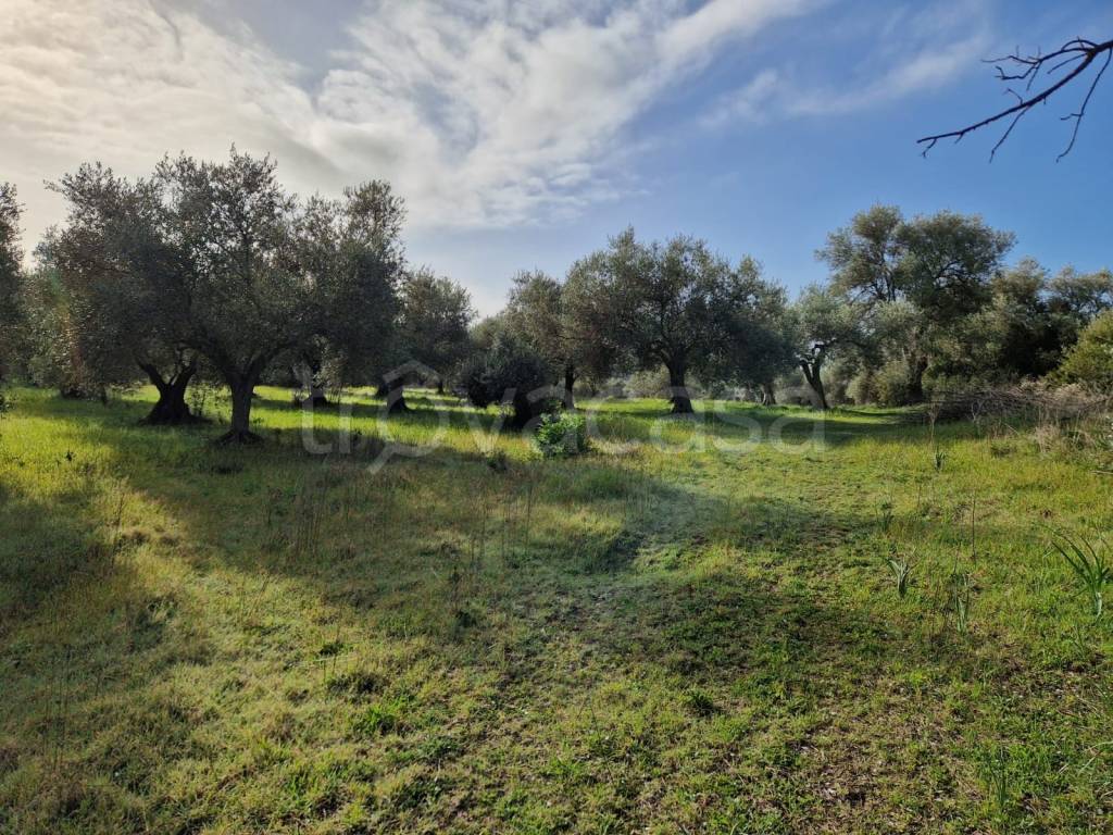 immagine annuncio 1 di 6