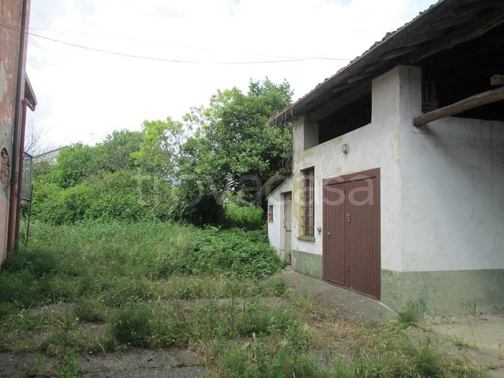 immagine annuncio 5 di 15