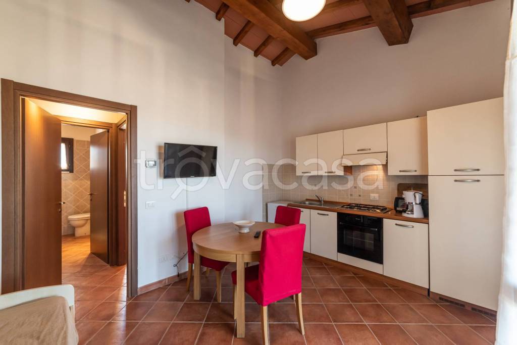 immagine annuncio 9 di 14