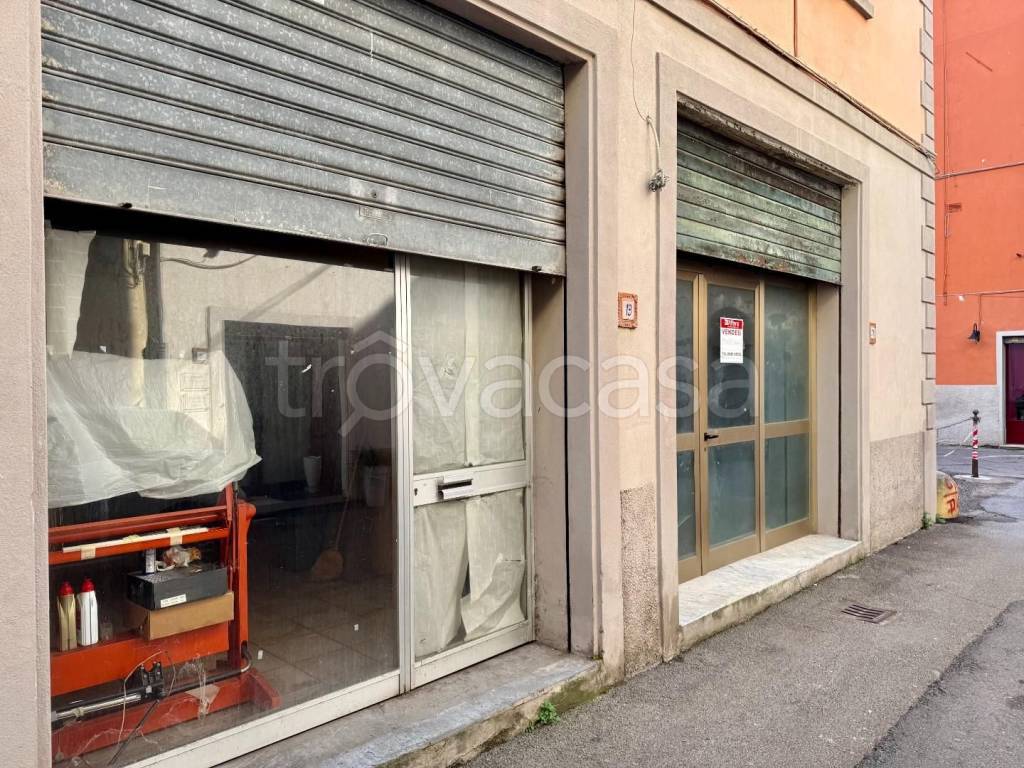 immagine annuncio 2 di 9