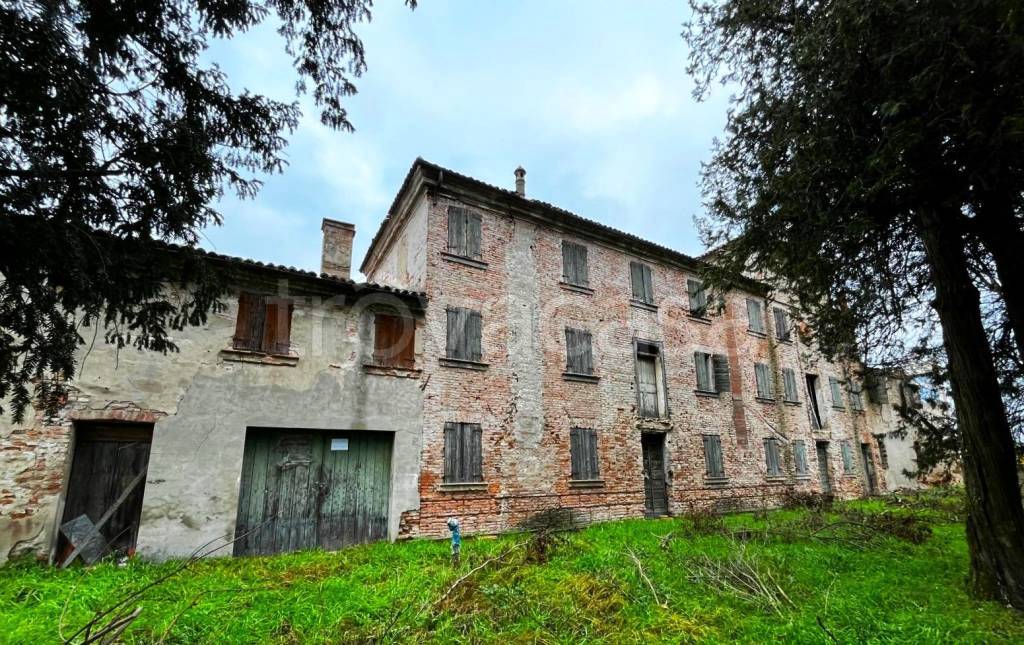 immagine annuncio 2 di 6