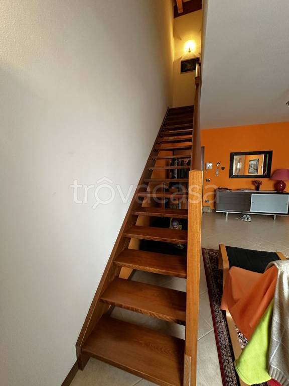 immagine annuncio 11 di 14