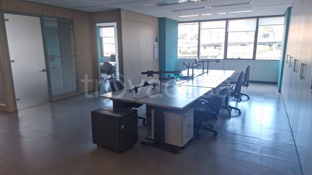 immagine annuncio 4 di 7