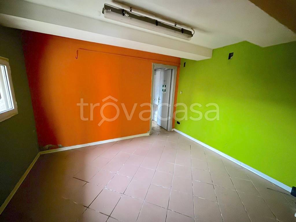 immagine annuncio 6 di 12