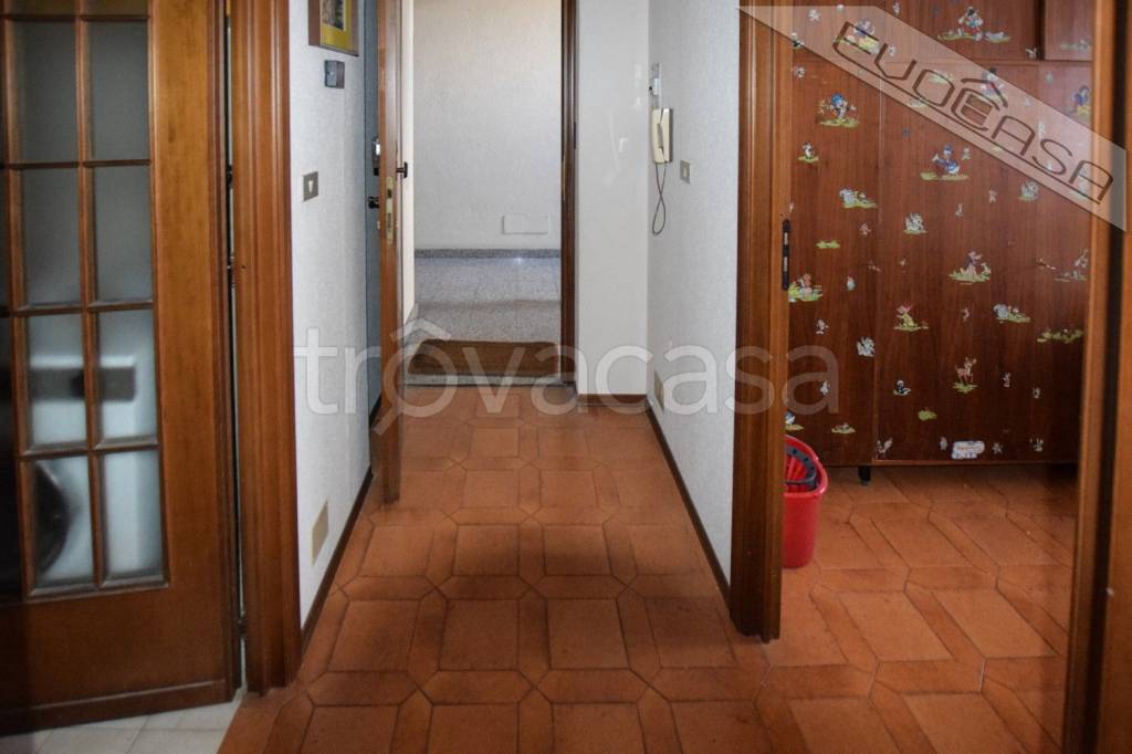 immagine annuncio 9 di 14