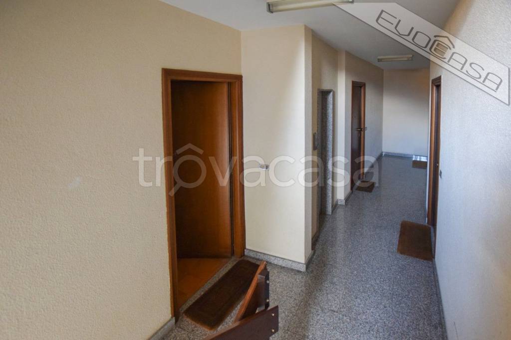 immagine annuncio 10 di 14