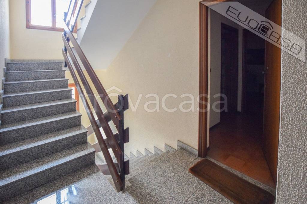 immagine annuncio 11 di 14