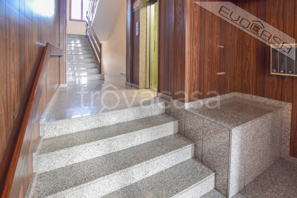 immagine annuncio 12 di 14