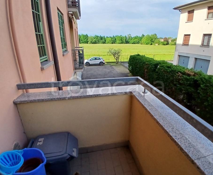 immagine annuncio 3 di 14