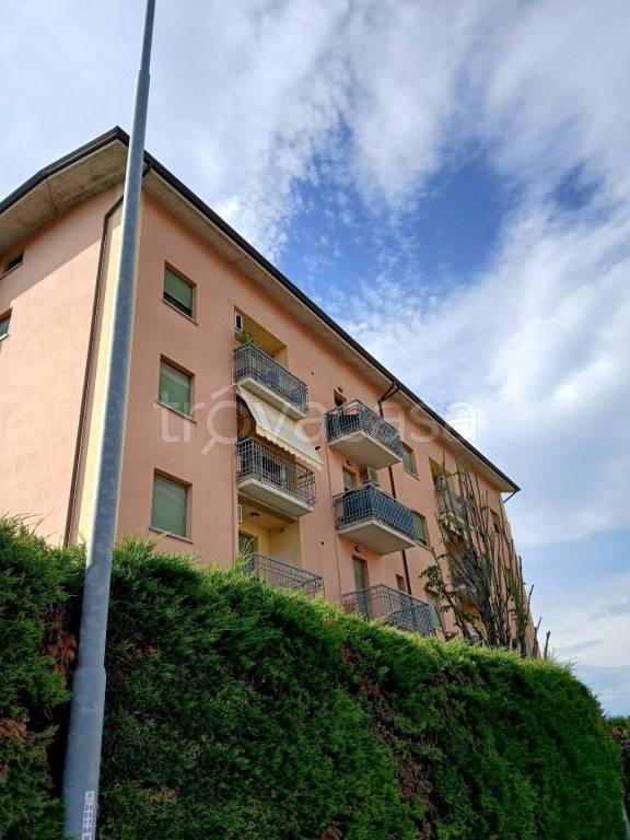 immagine annuncio 4 di 14