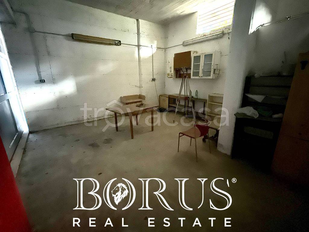 immagine annuncio 2 di 12