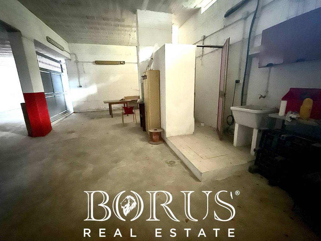 immagine annuncio 5 di 12