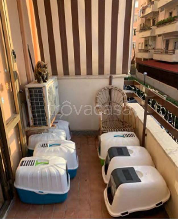 immagine annuncio 6 di 11