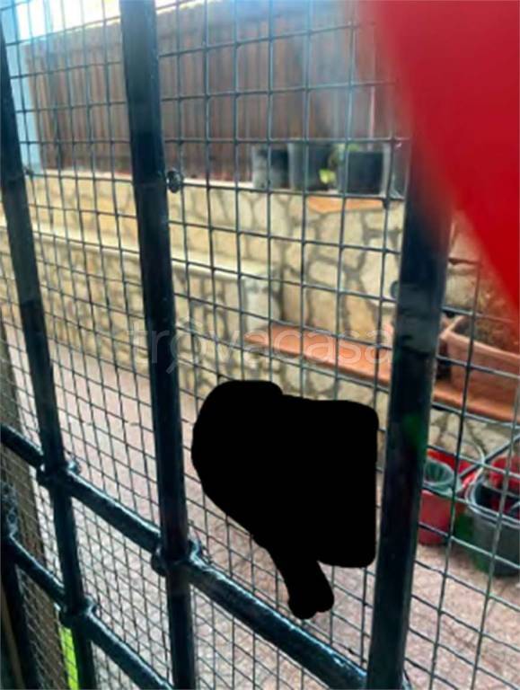 immagine annuncio 8 di 11