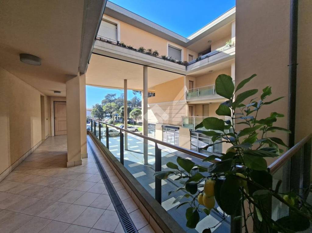 immagine annuncio 12 di 14