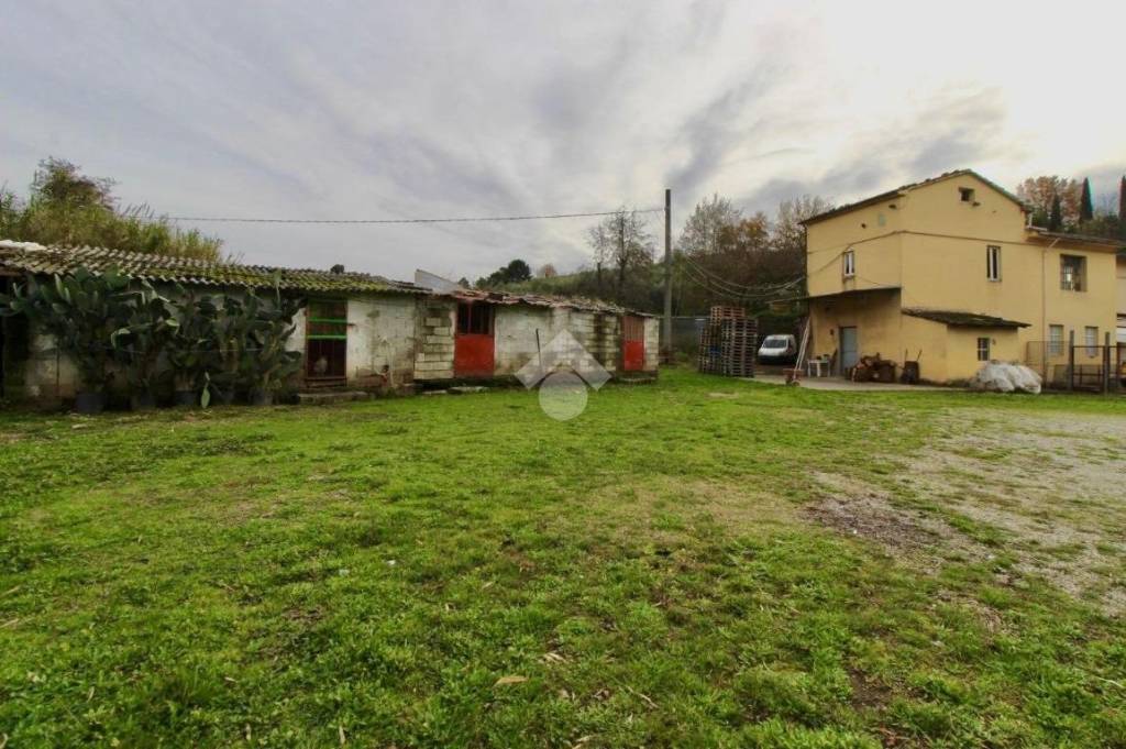 immagine annuncio 3 di 8