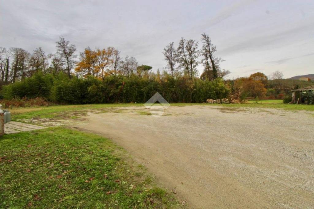 immagine annuncio 5 di 8