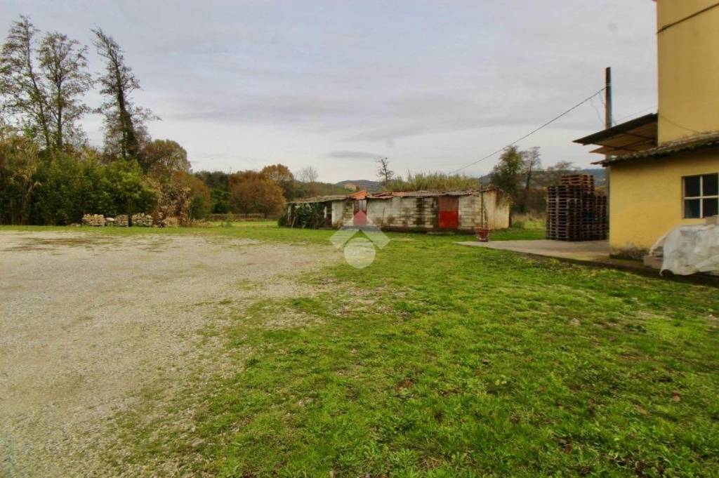 immagine annuncio 6 di 8