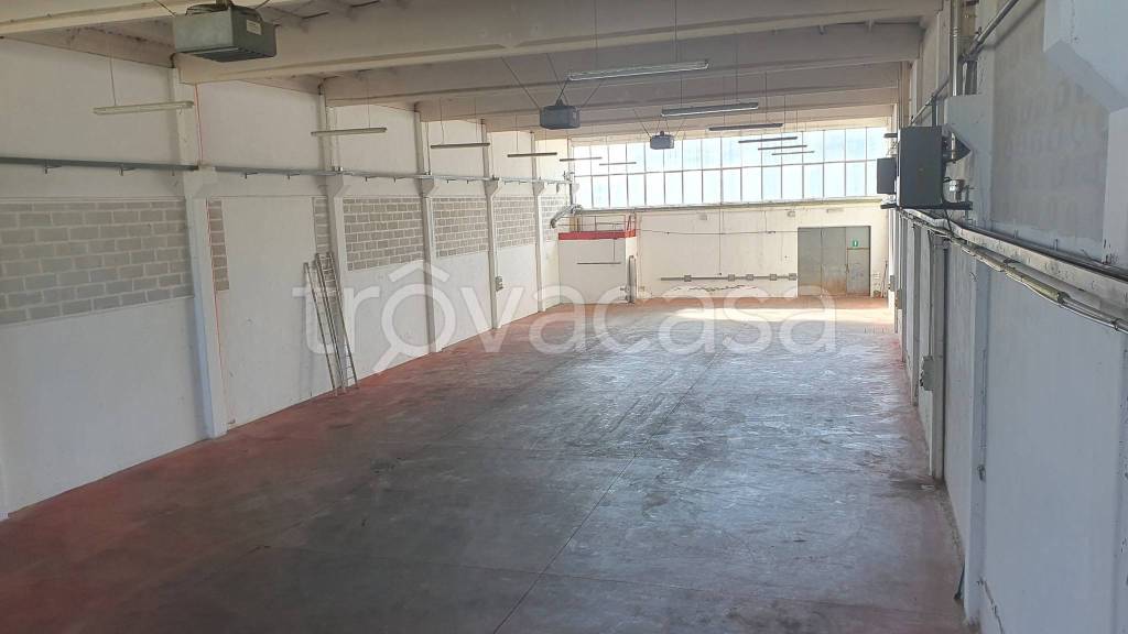 immagine annuncio 3 di 6