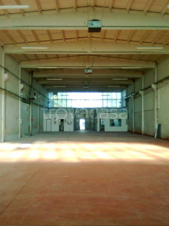 immagine annuncio 5 di 6