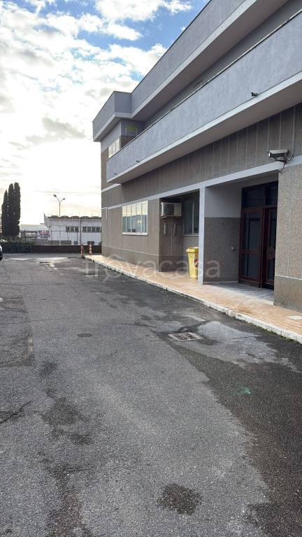 immagine annuncio 7 di 8