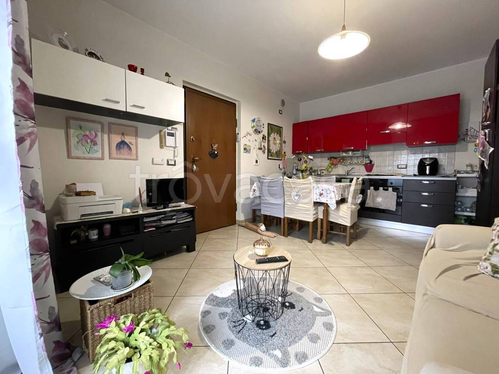 immagine annuncio 5 di 15