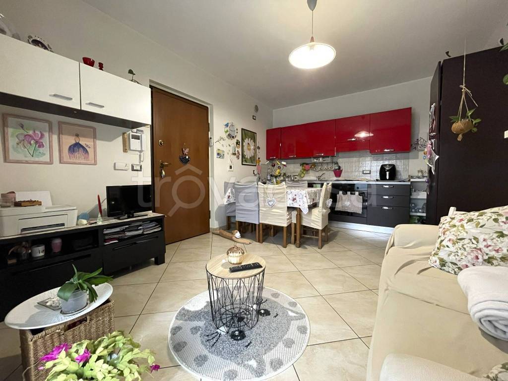 immagine annuncio 7 di 15