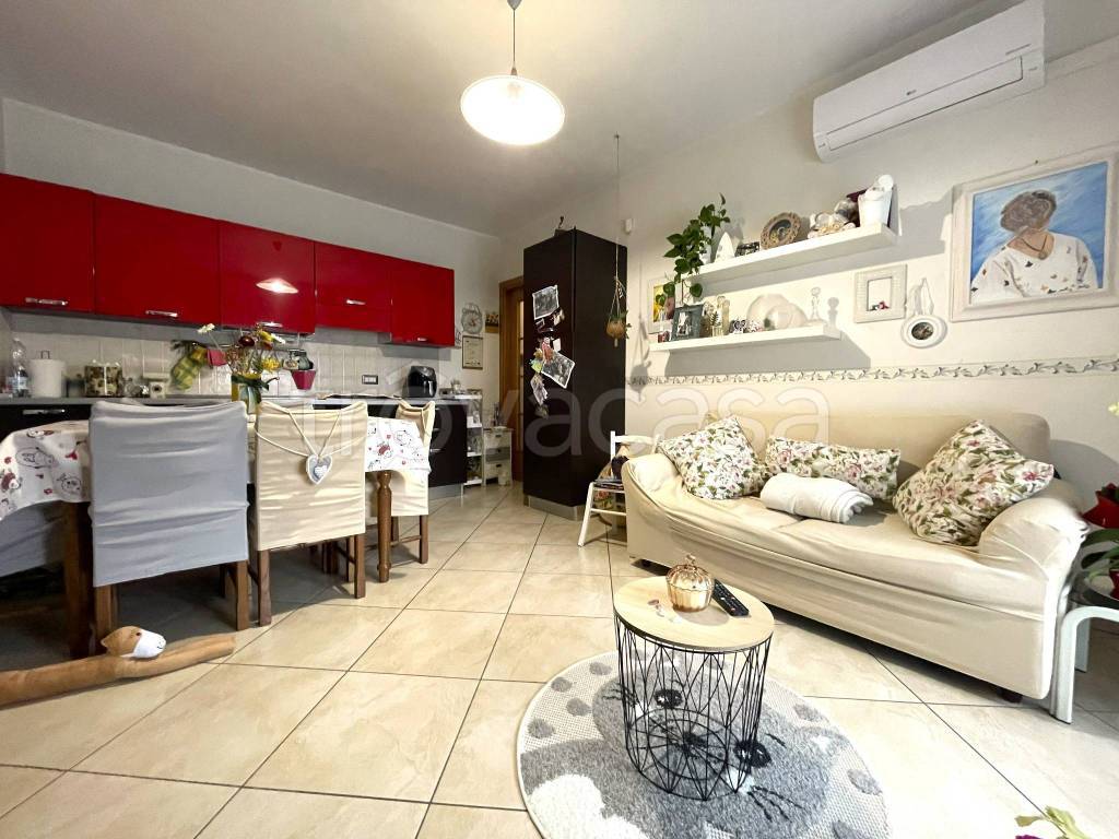 immagine annuncio 6 di 15