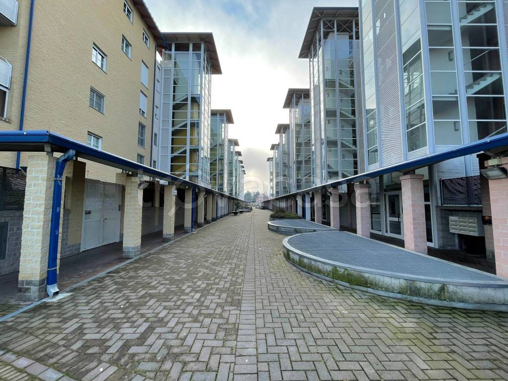 immagine annuncio 1 di 15