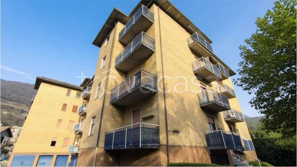 immagine annuncio 12 di 14