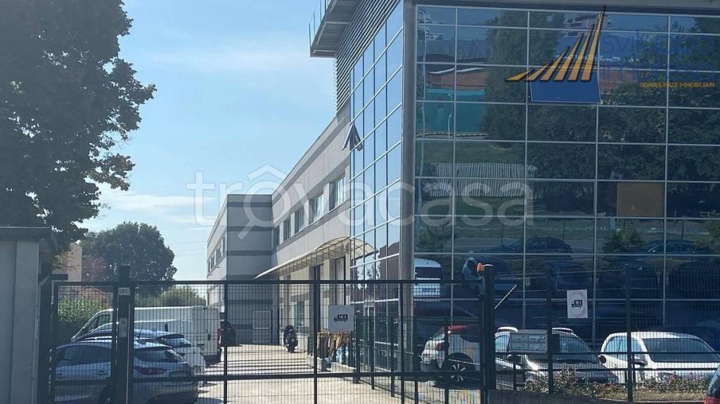 immagine annuncio 3 di 11