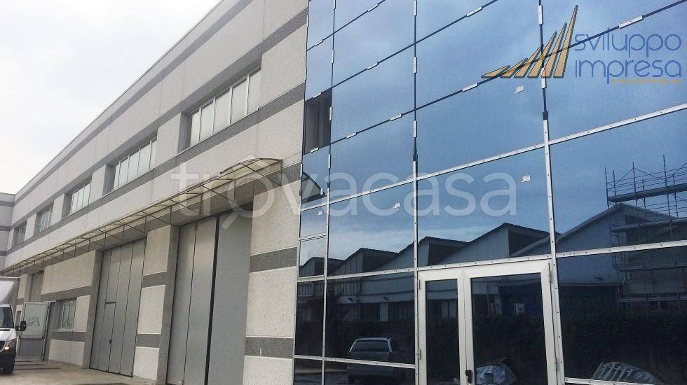 immagine annuncio 4 di 11