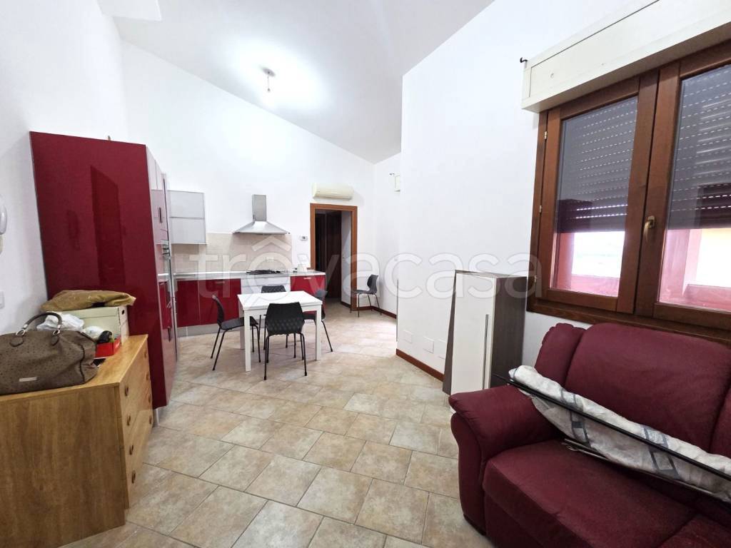 immagine annuncio 3 di 14