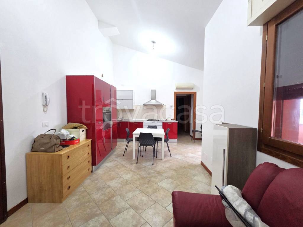 immagine annuncio 4 di 14