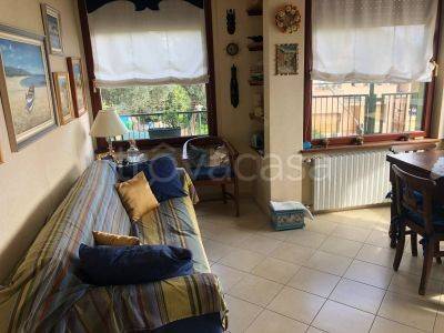 immagine annuncio 3 di 14