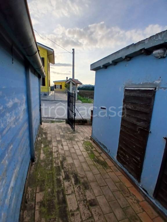 immagine annuncio 7 di 15