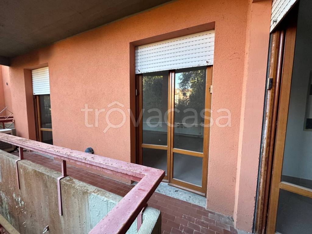 immagine annuncio 6 di 14