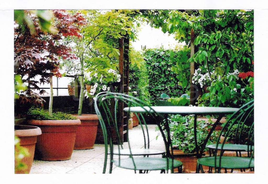 immagine annuncio 5 di 11