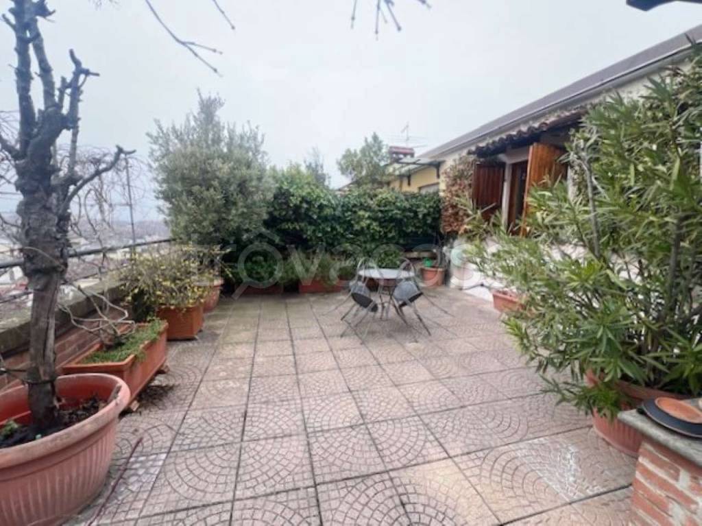 immagine annuncio 7 di 11