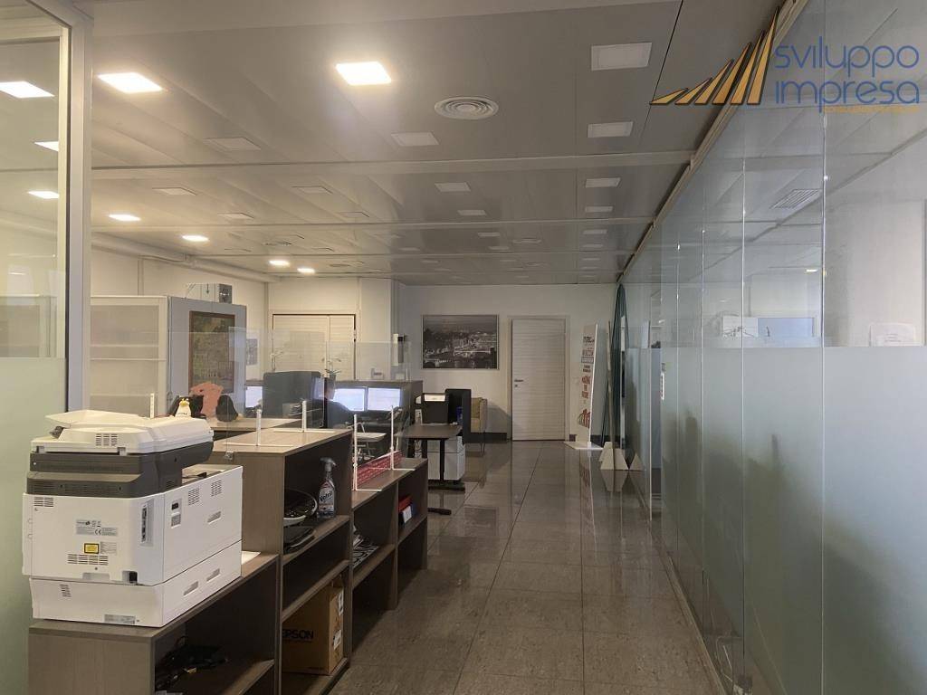 immagine annuncio 5 di 14