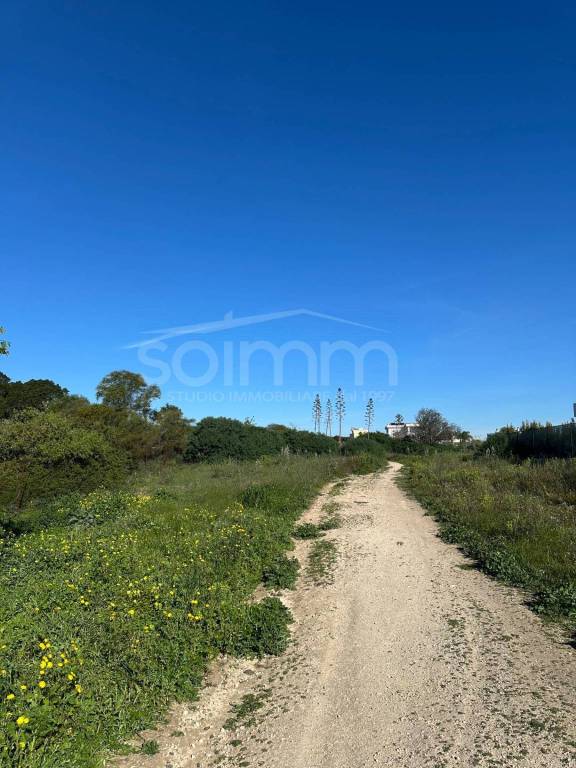 immagine annuncio 2 di 7