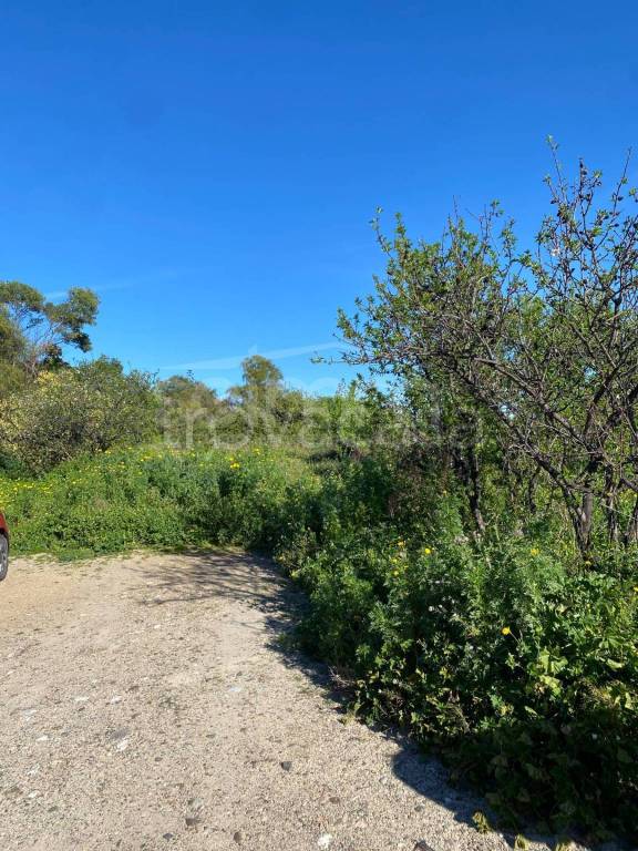 immagine annuncio 3 di 7