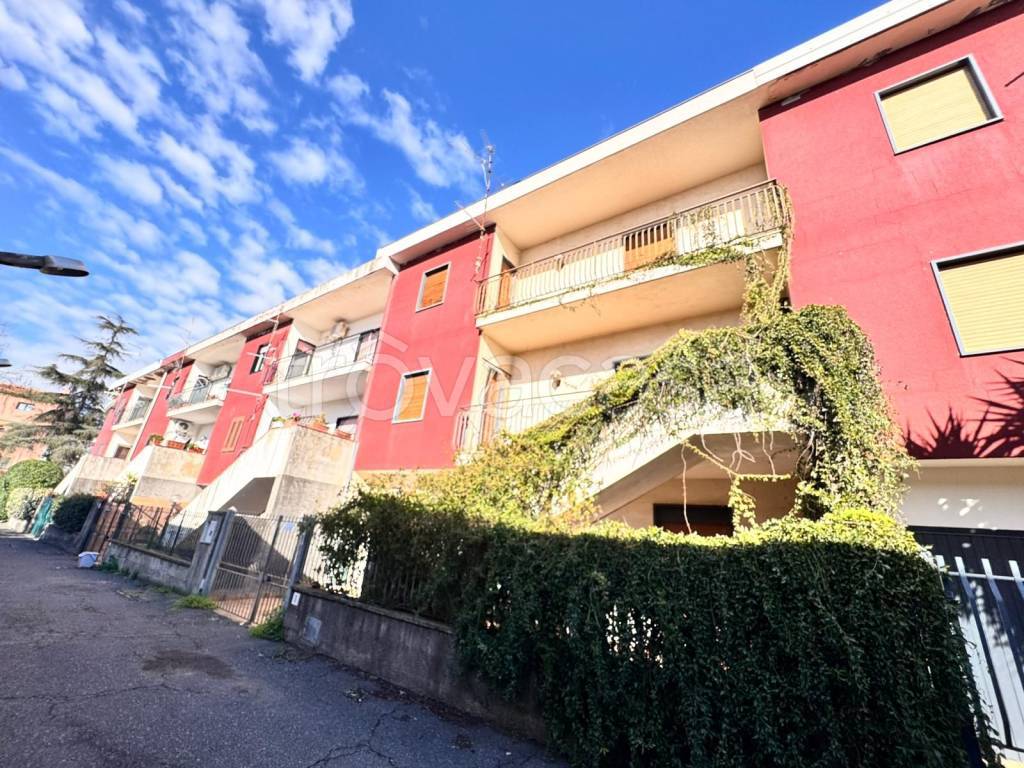 immagine annuncio 1 di 15