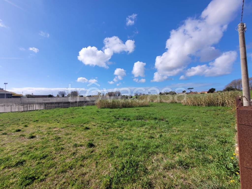 immagine annuncio 1 di 7