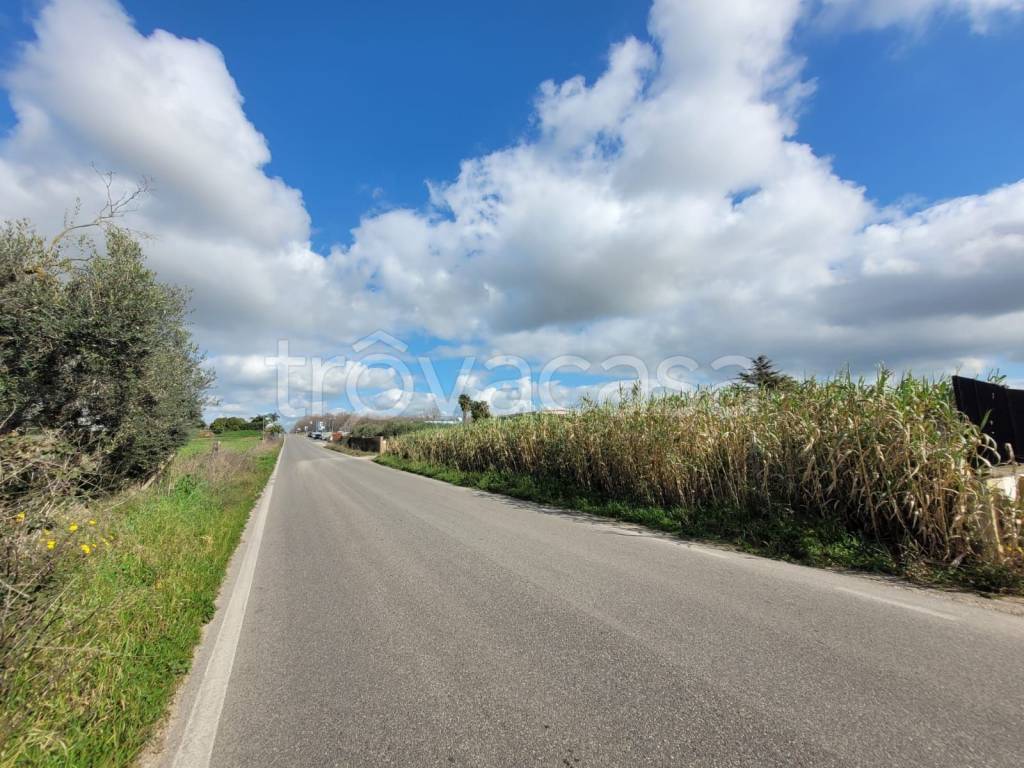 immagine annuncio 3 di 7