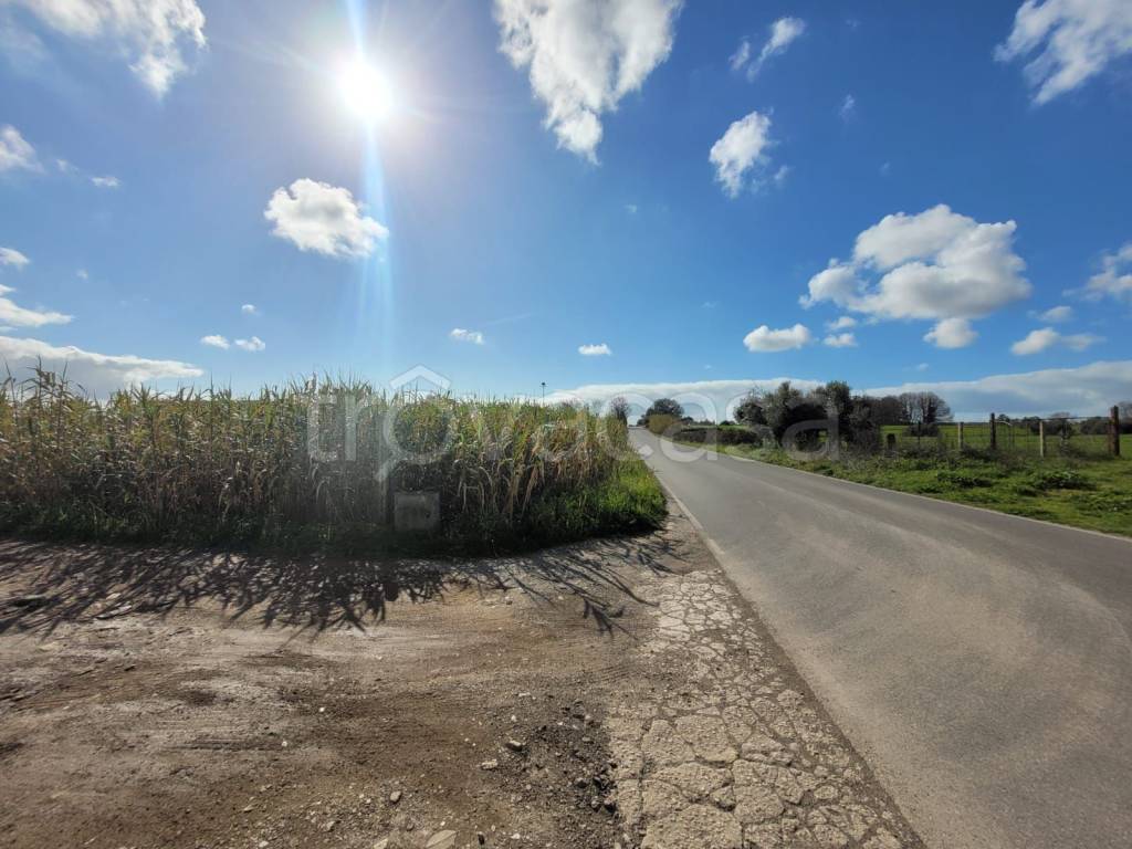 immagine annuncio 4 di 7