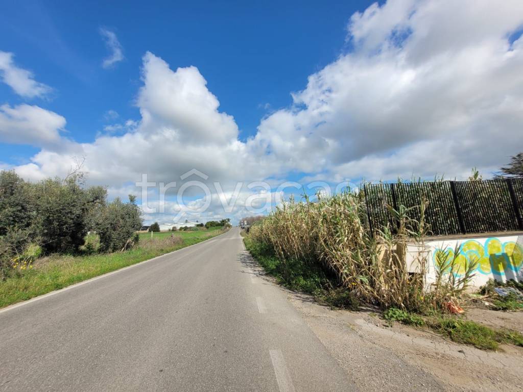 immagine annuncio 5 di 7