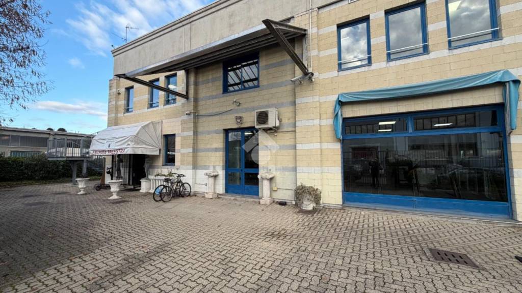 immagine annuncio 1 di 15