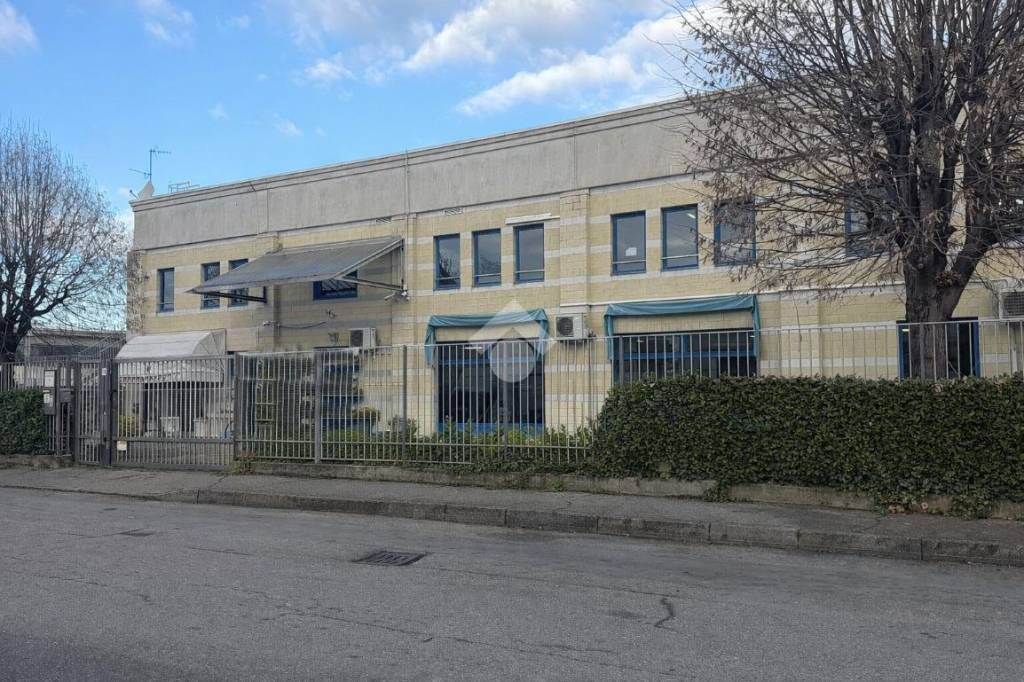 immagine annuncio 3 di 15