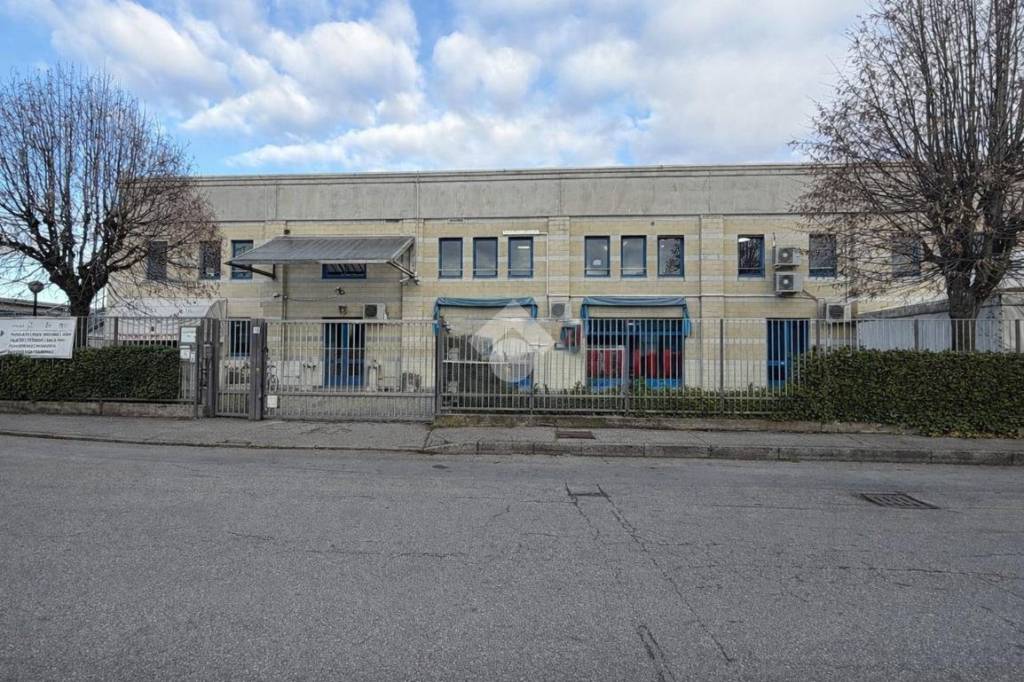 immagine annuncio 4 di 15